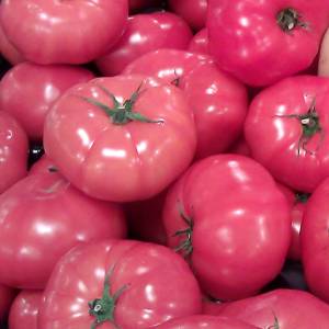 Pembe Domates(KG)